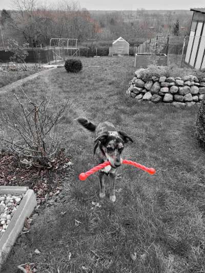 6. Farben Foto Challenge: "ColourKey Effekt"-Beitrag-Bild