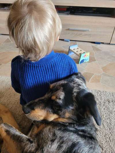 Dogorama Photo Challenge - Berufswahl-Beitrag-Bild