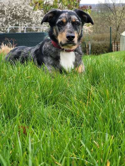 Farben Fotochallenge Thema ,,Grün"-Beitrag-Bild