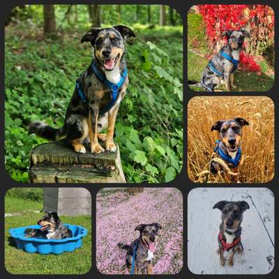 48. Collagen Challenge: Das Leben ist bunt-Beitrag-Bild