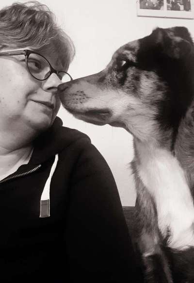 Dogorama Photo Challenge - Liebesbeweis-Beitrag-Bild