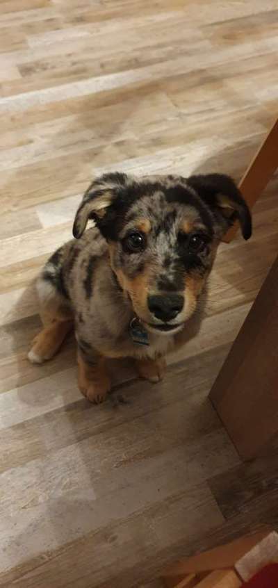 Sie werden so schnell erwachsen ...-Beitrag-Bild