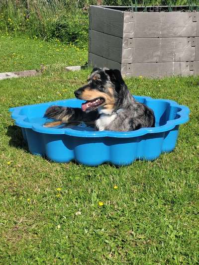 10. Farben Foto-Challenge ---- Blau-Beitrag-Bild