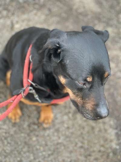 Von oben-Beitrag-Bild