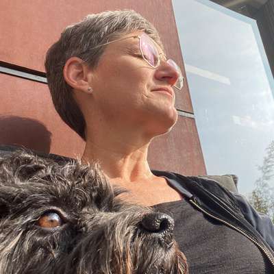 Hundetreffen-Gassirunde in Steinen-Profilbild