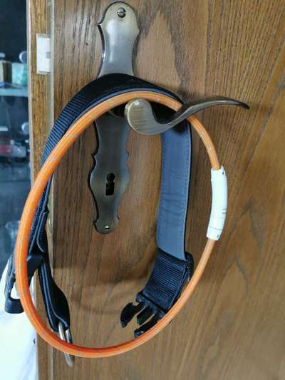 Wieviel Geschirre und Leinen habt Ihr?-Beitrag-Bild