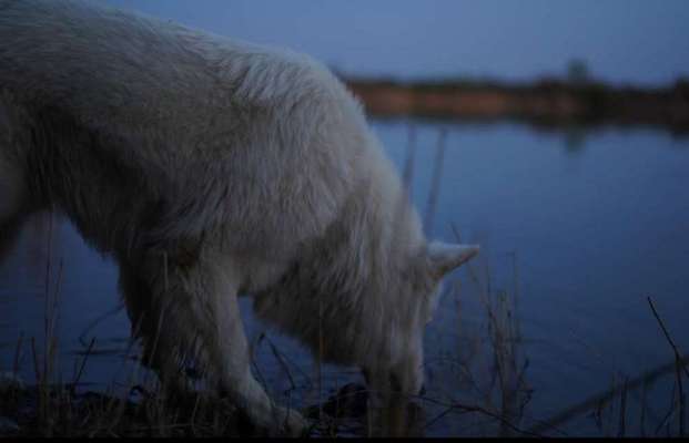 Fotowettbewerb Natur-Beitrag-Bild