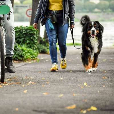 Giftköder-Social Walk-Bild