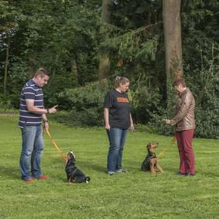 Giftköder-Welpengruppe (Kurs mit 8 Terminen)-Bild