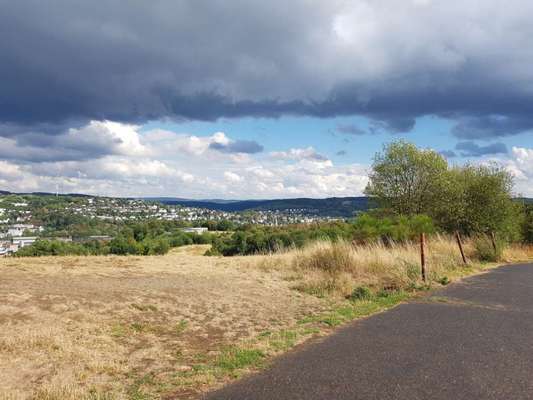 Hundeauslaufgebiet-Panzerwiese-Bild