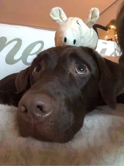 Fotochallange Nr. 57     PORTRÄT.   Beendet!!!!!!!!-Beitrag-Bild