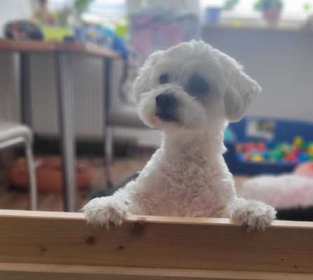 Bettel Blicke-Beitrag-Bild