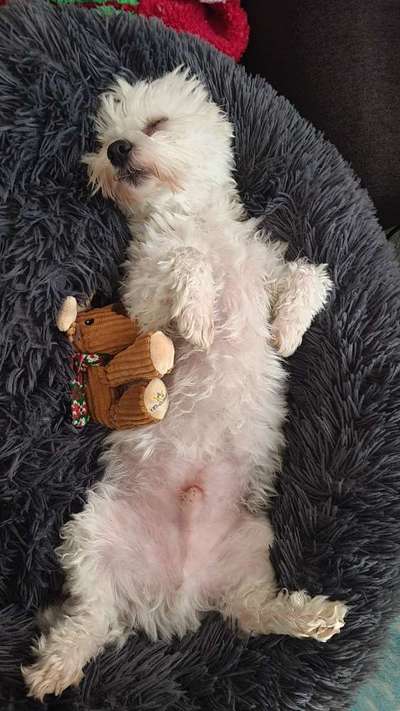 Euer schönster Moment des Jahres auf einem Bild!-Beitrag-Bild