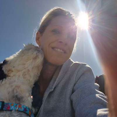 Hundetreffen-Hermes & ich suchen nette Gassi-Begleitung 🐾-Bild
