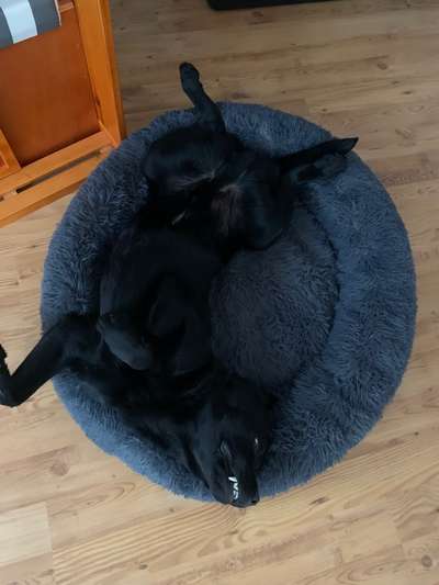 Foto Challenge Nr. 134-Beitrag-Bild