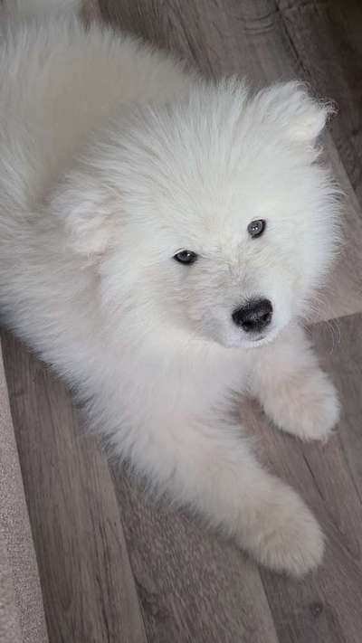 Sie werden so schnell erwachsen ...-Beitrag-Bild