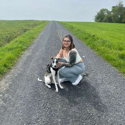 Hundetreffen-Spielkamerad und Gassi Buddy gesucht 🤗-Profilbild