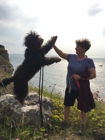 Dogorama Photo Challenge - Steine/Felsen-Beitrag-Bild