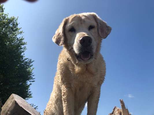 149. Foto Challenge: Wer ist hier der Boss!-Beitrag-Bild