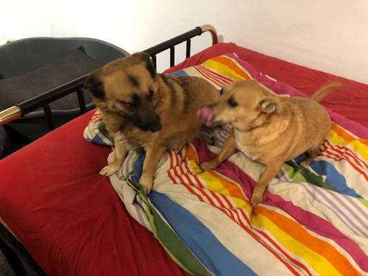 32. Farben Challenge  ** ( BUNTE ) STREIFEN **-Beitrag-Bild