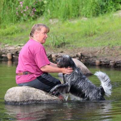 85. Foto Challenge : Schosshund-Beitrag-Bild