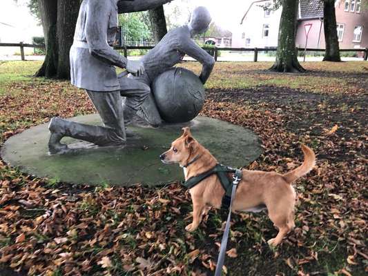 82. Foto Challenge: Skulptur/ Denkmal-Beitrag-Bild