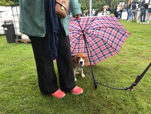 30. Farben Challenge - Pink-Beitrag-Bild