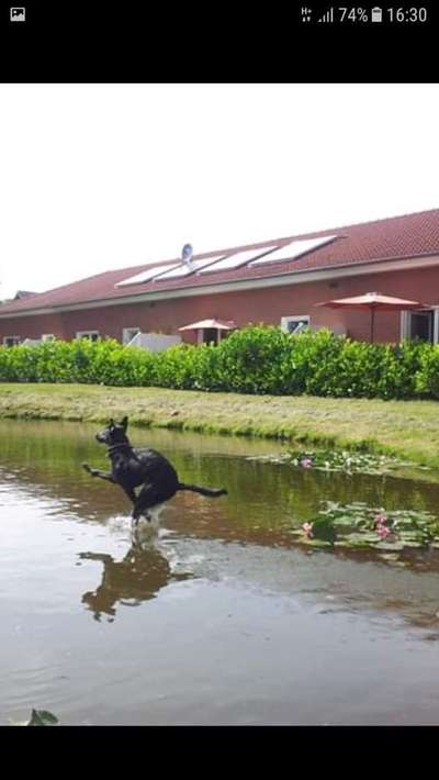 Fotowettbewerb: Wasserratte-Beitrag-Bild