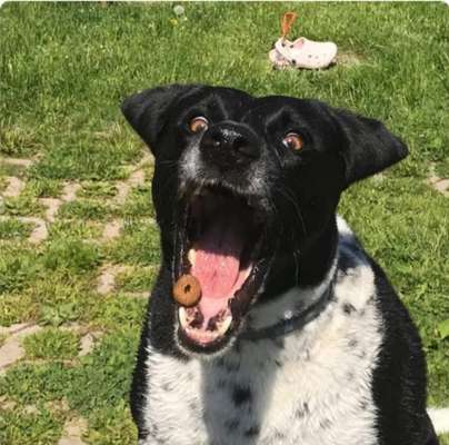 150. Foto Challaenge:  Die Augen, der Spiegel der Seele-Beitrag-Bild