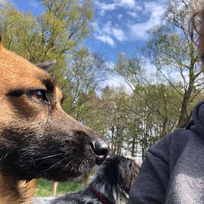 156. Fotochallenge *** DEIN HUND UND DIE WUNDERSCHÖNEN WOLKEN ***-Beitrag-Bild