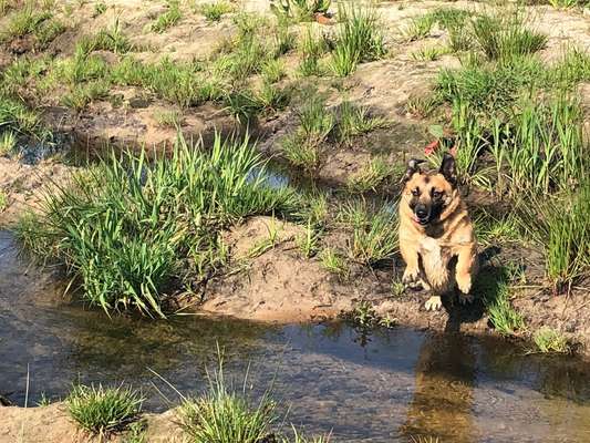 FOTO CHALLENGE Thema ,,durchdrehen"-Beitrag-Bild