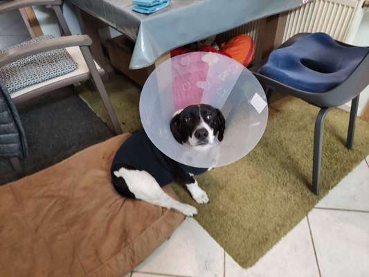 Schulddrüsenunterfunktion-Beitrag-Bild