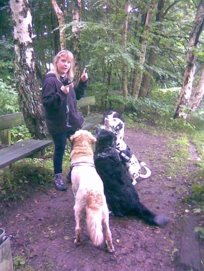 Dogorama Photo Challenge - Bänke-Beitrag-Bild