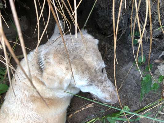 80. Foto  Challenge - Versteckt/ in einer Höhle-Beitrag-Bild