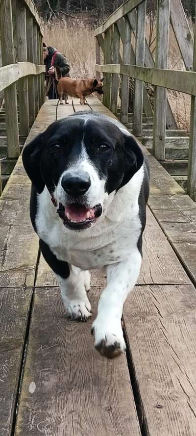 Foto Challenge Thema "Brücke"-Beitrag-Bild