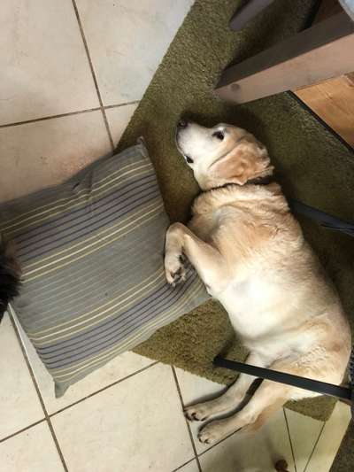 32. Farben Challenge  ** ( BUNTE ) STREIFEN **-Beitrag-Bild