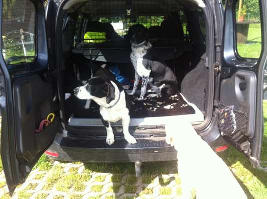 80. Foto  Challenge - Versteckt/ in einer Höhle-Beitrag-Bild