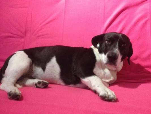 30. Farben Challenge - Pink-Beitrag-Bild