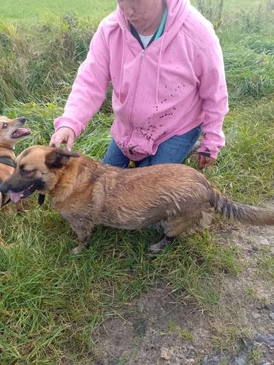 30. Farben Challenge - Pink-Beitrag-Bild