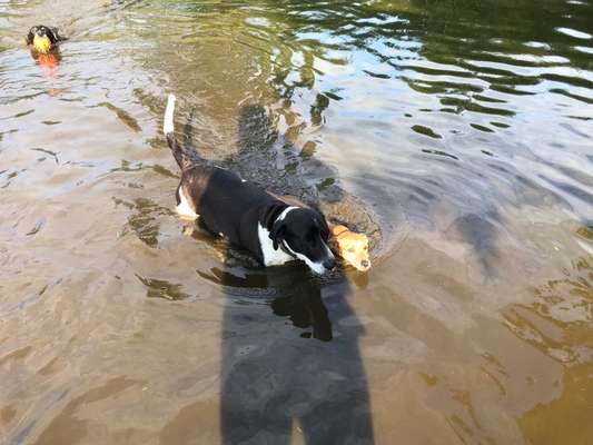 Foto Challenge Nr.133-Beitrag-Bild