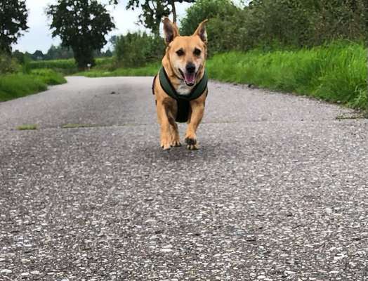 149. Foto Challenge: Wer ist hier der Boss!-Beitrag-Bild