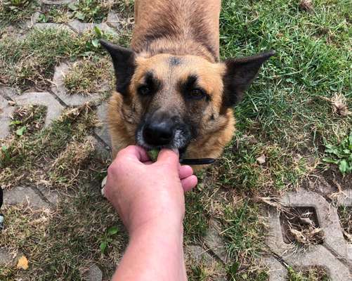 152. Foto Challenge: "Friss mir aus der Hand"-Beitrag-Bild