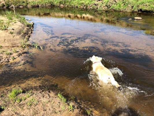 Foto Challenge Nr.133-Beitrag-Bild