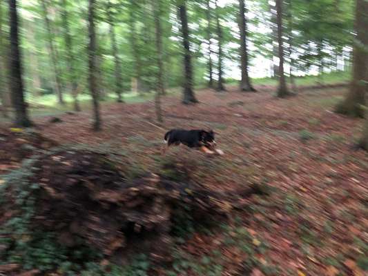 FOTO CHALLENGE Thema ,,durchdrehen"-Beitrag-Bild