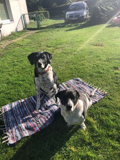 32. Farben Challenge  ** ( BUNTE ) STREIFEN **-Beitrag-Bild