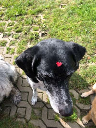 67. Handy Foto Challenge: Rotes Herz-Beitrag-Bild