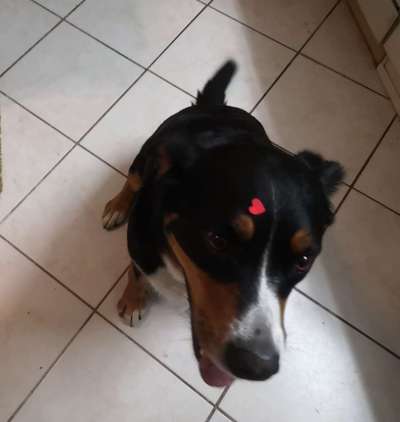 67. Handy Foto Challenge: Rotes Herz-Beitrag-Bild