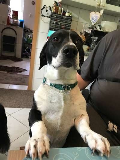 147. Foto Challenge: Bettelblick-Beitrag-Bild