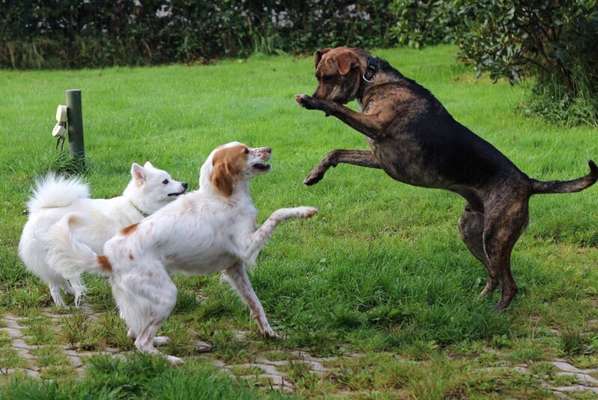 FOTO CHALLENGE Thema ,,durchdrehen"-Beitrag-Bild