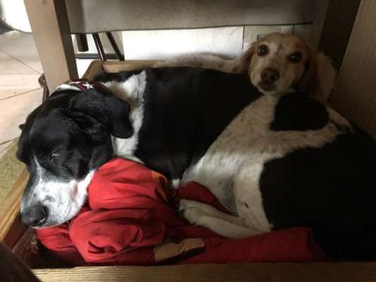 80. Foto  Challenge - Versteckt/ in einer Höhle-Beitrag-Bild